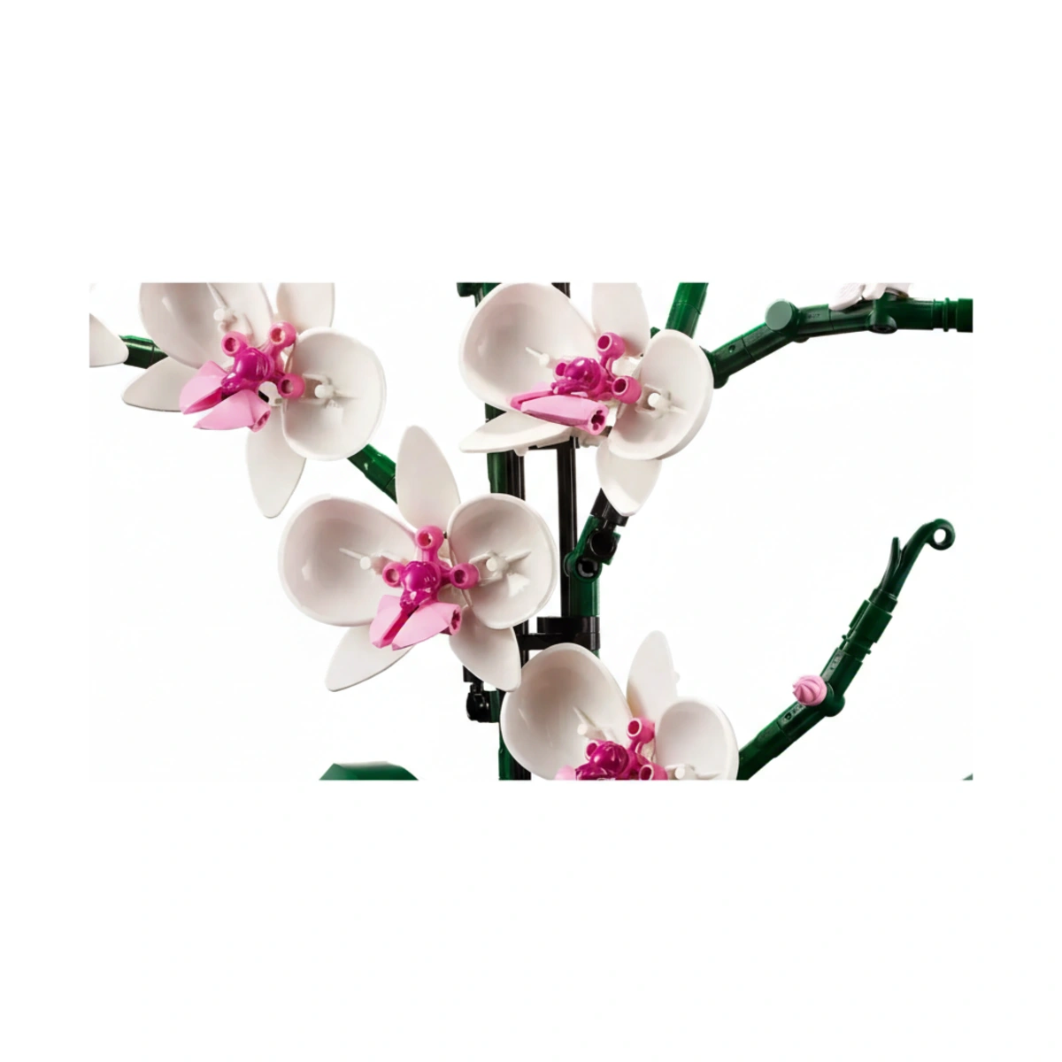 4ab2903ebe7ade8b7854aa0726868532